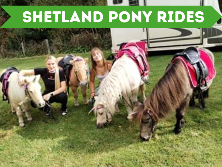 Shetland Pony Rides